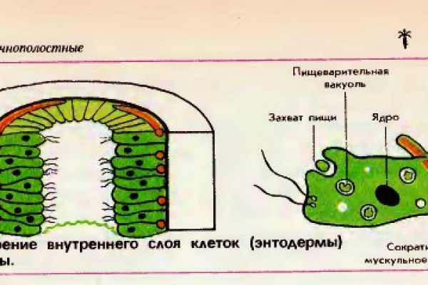 Вход в кракен даркнет