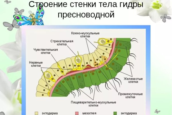 Через какой браузер можно зайти на кракен