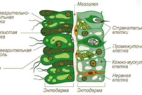 Кракен сайт krakens13 at